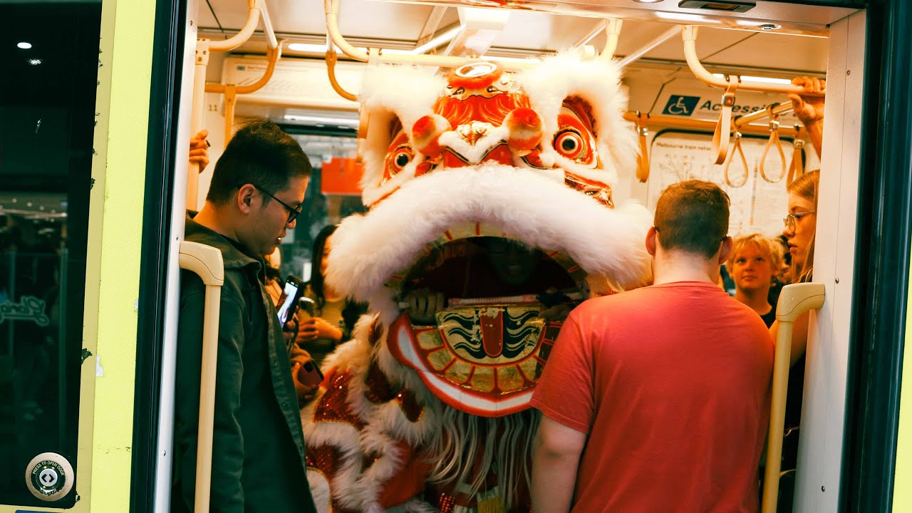 Lion Lunar Love Story